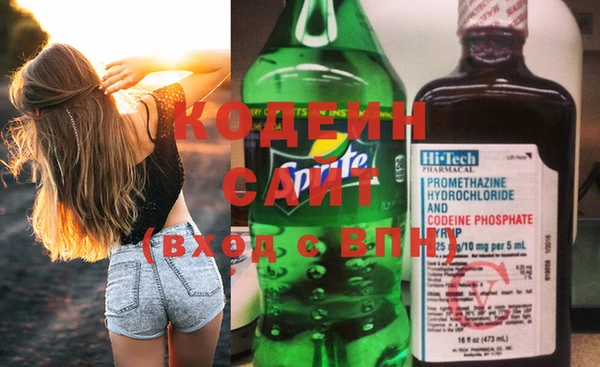 крисы Абаза