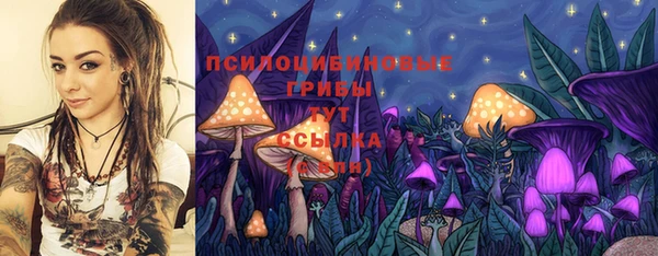 прущая мука Пересвет