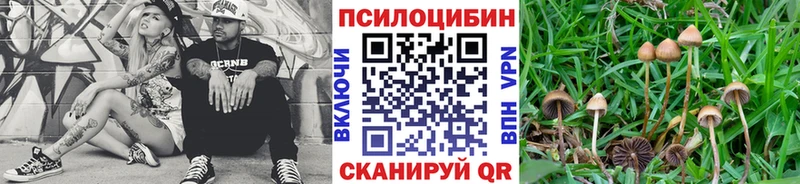 закладки  Власиха  Галлюциногенные грибы мухоморы 